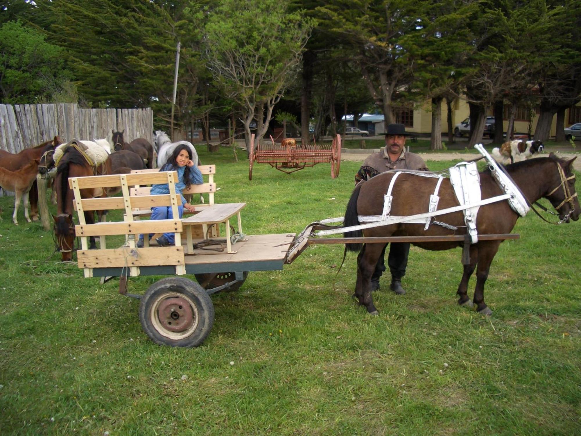 Estancia Rio De Los Ciervos Punta Arenas Exterior photo