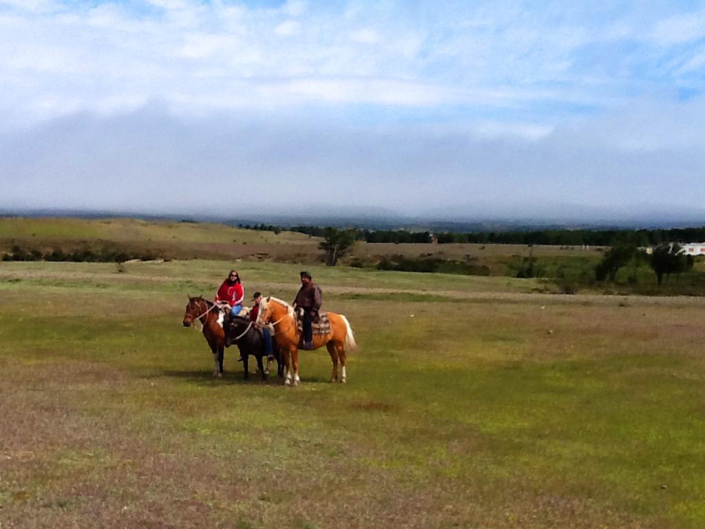 Estancia Rio De Los Ciervos Punta Arenas Exterior photo